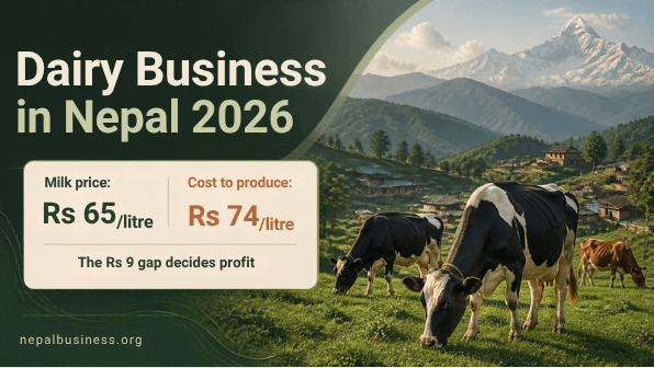 Dairy Business in Nepal 2026: Cost, Profit & Farmer Lessons